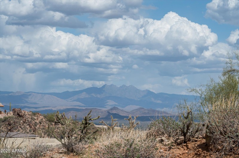 Four Peaks straight on