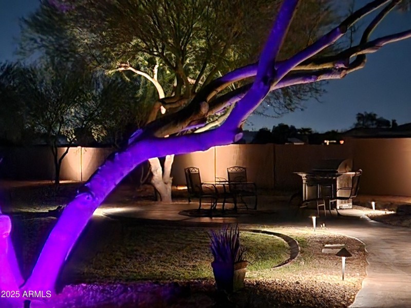 Back yard with lights