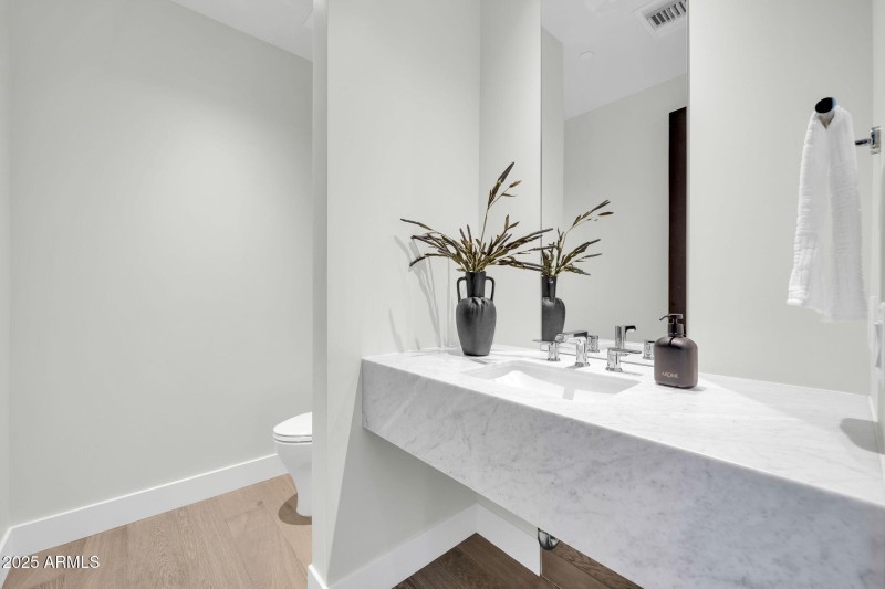 Guest powder room