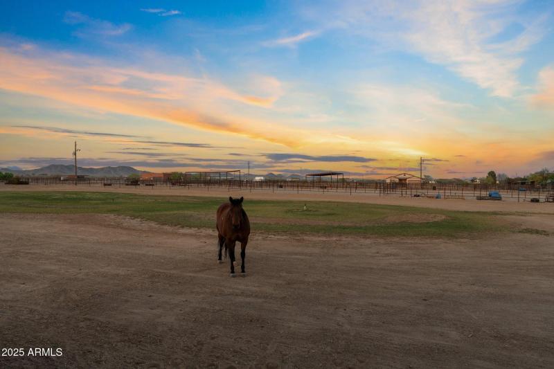 62-web-or-mls-DSC08398