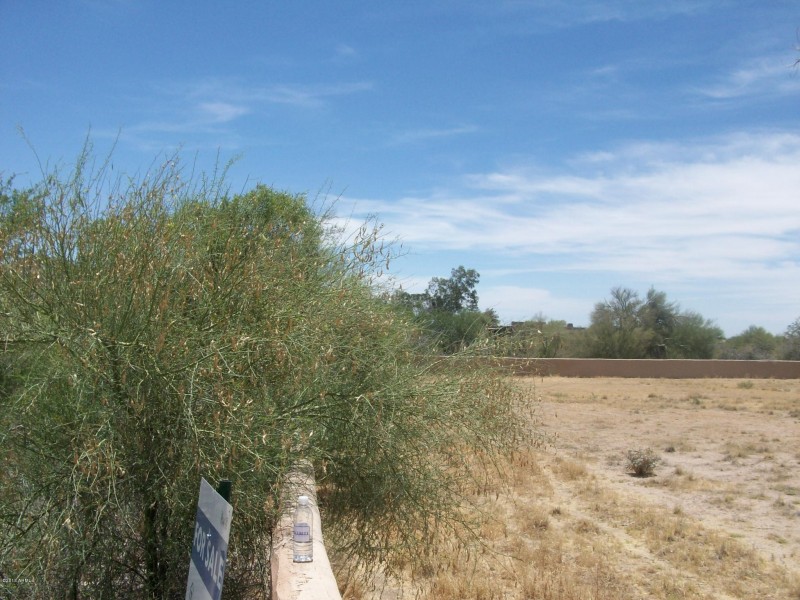 South view east wall line