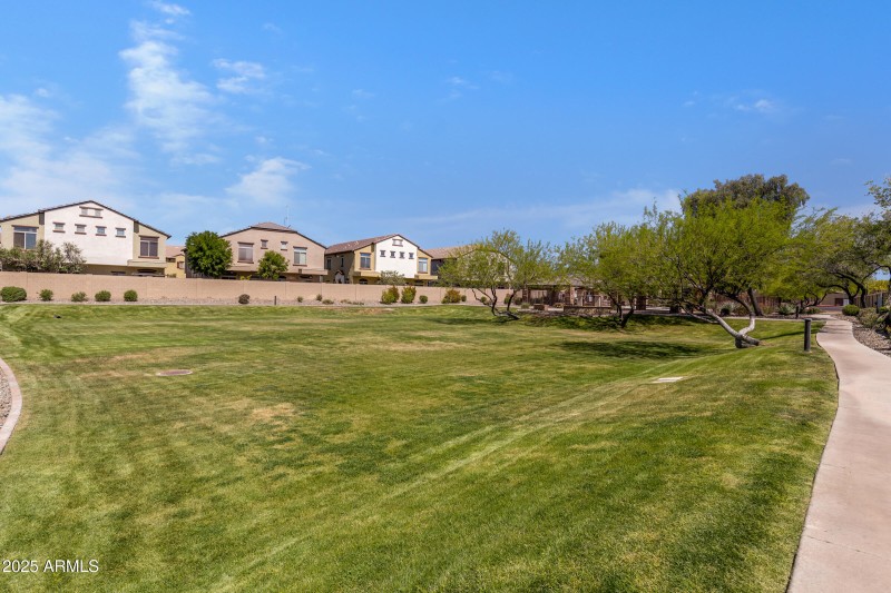 Grass areas in the complex