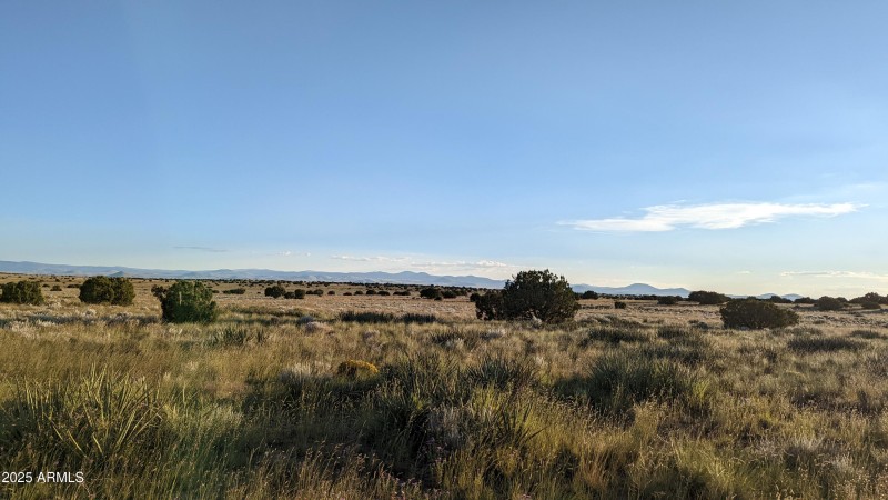 PXL_20220905_010036647