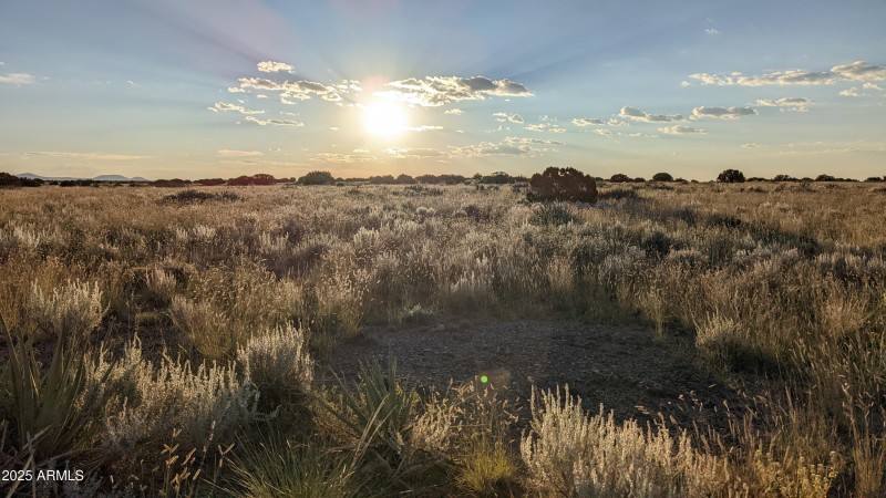 PXL_20220905_010700236