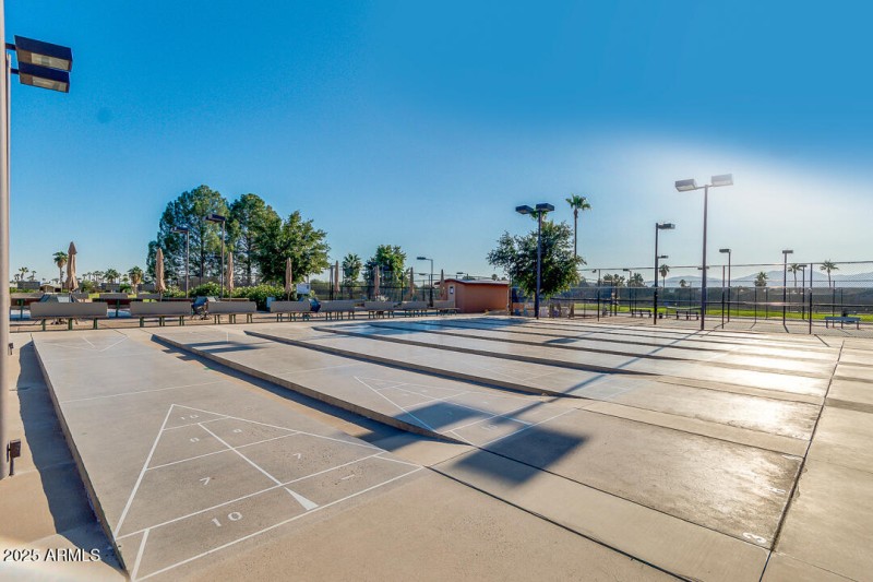 Shuffleboard