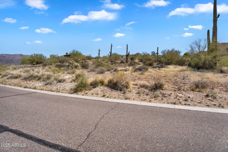 1-web-or-mls-Vista-01