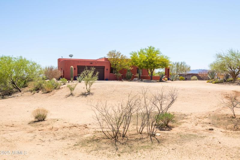 Natural Desert Vegetation