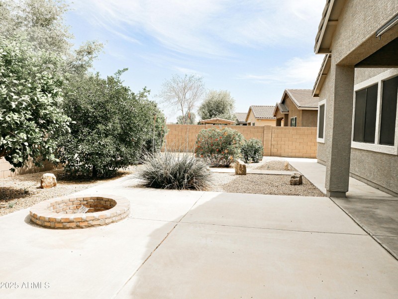 backyard 1