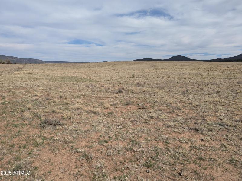 PXL_20250412_221112763