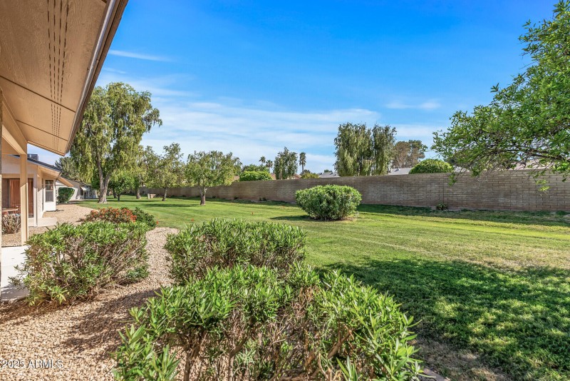 Backyard