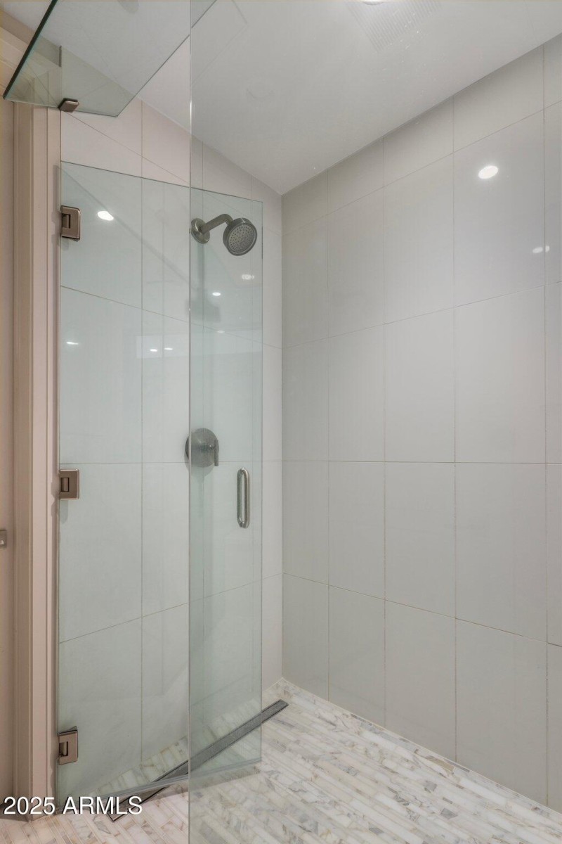 Primary Shower