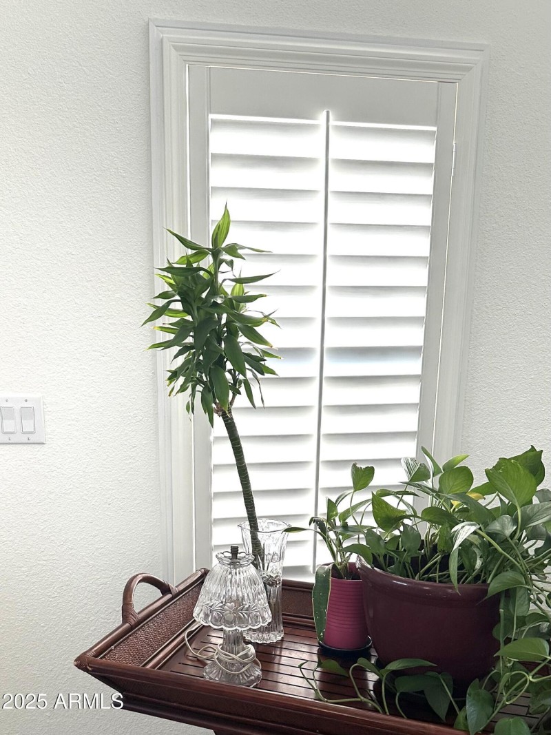 SHUTTERS 2