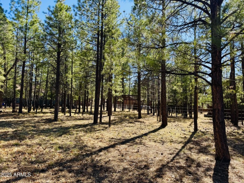 trees