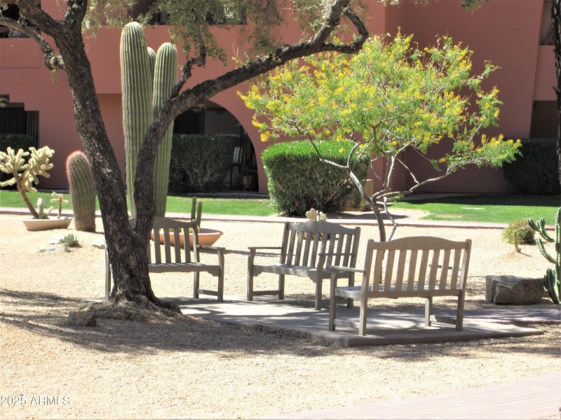 GATHERING AREA IN GARDEN