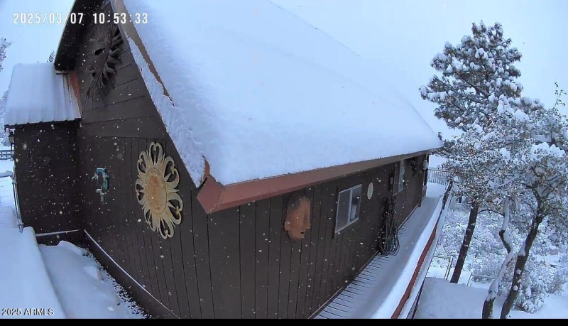 Cabin in the snow