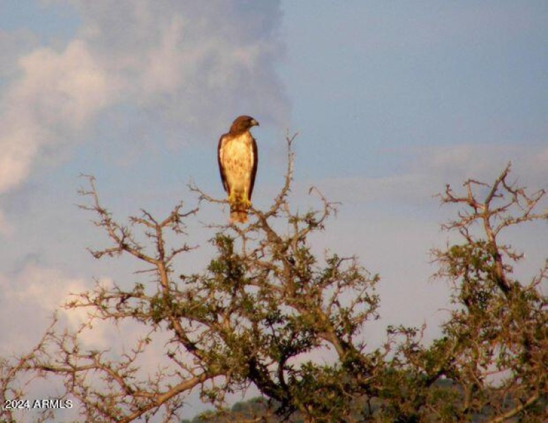 20201117232105136813000000-o