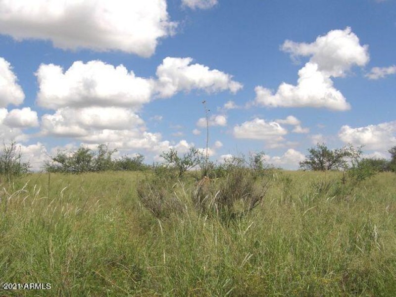 20190329194104089759000000-o