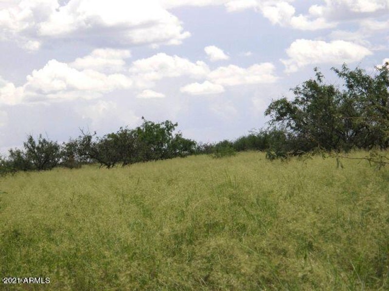 20190329194104625005000000-o