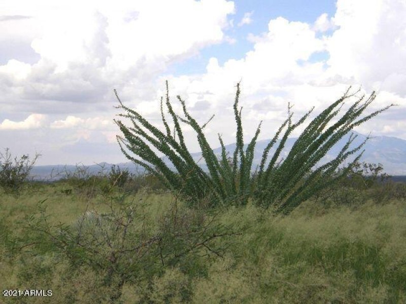 20190329194105604852000000-o