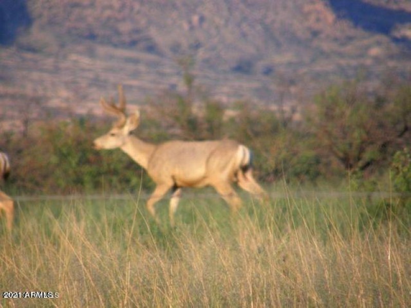 20190329194108385206000000-o