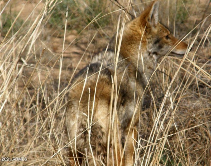 20201016231758922724000000-o