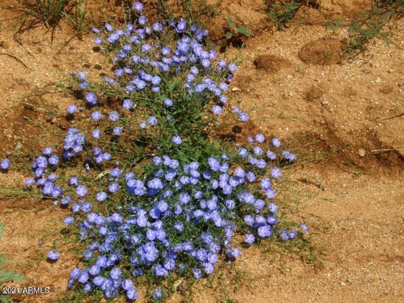 20201016231759815603000000-o