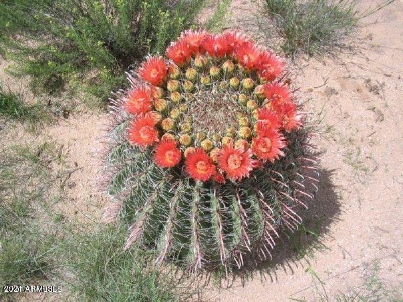 20190605154821802583000000-o