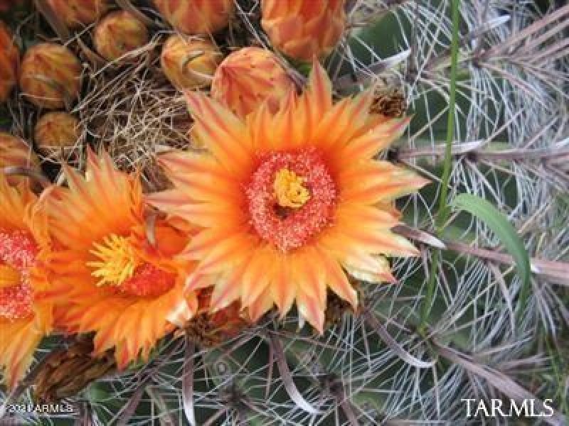 20200227034508949608000000-o