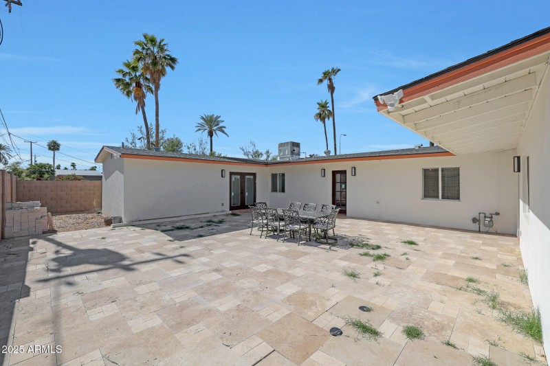 Backyard3