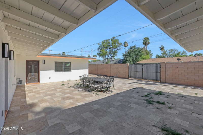 Backyard1