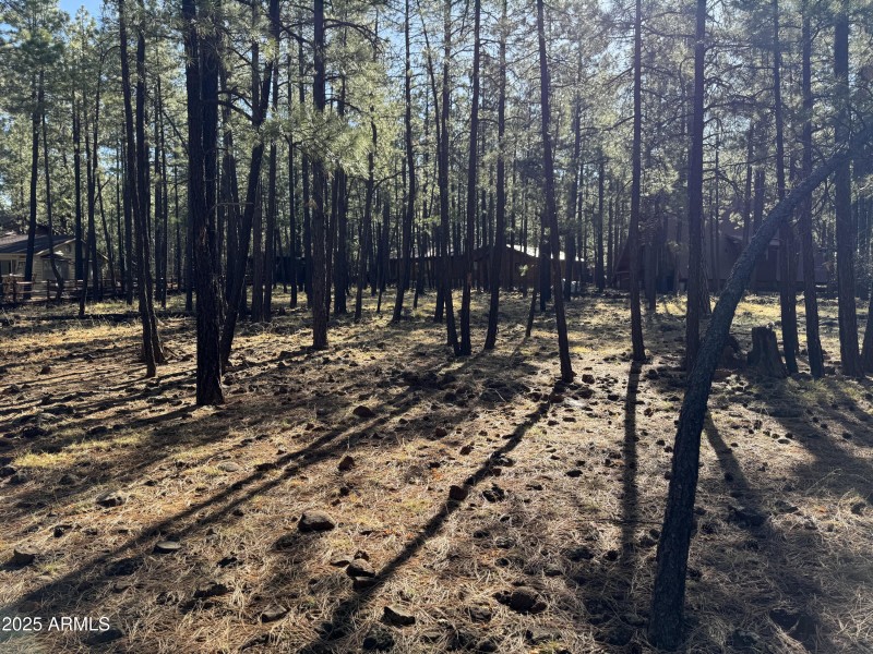 Middle of lot to back