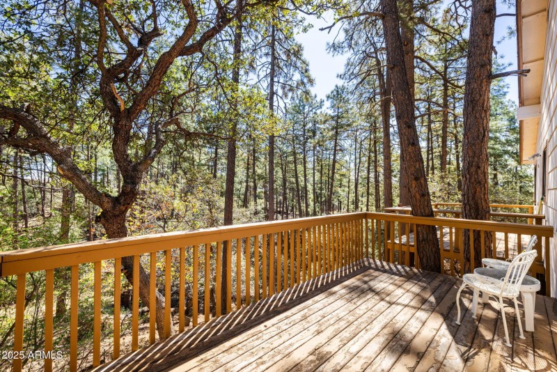 Back Deck