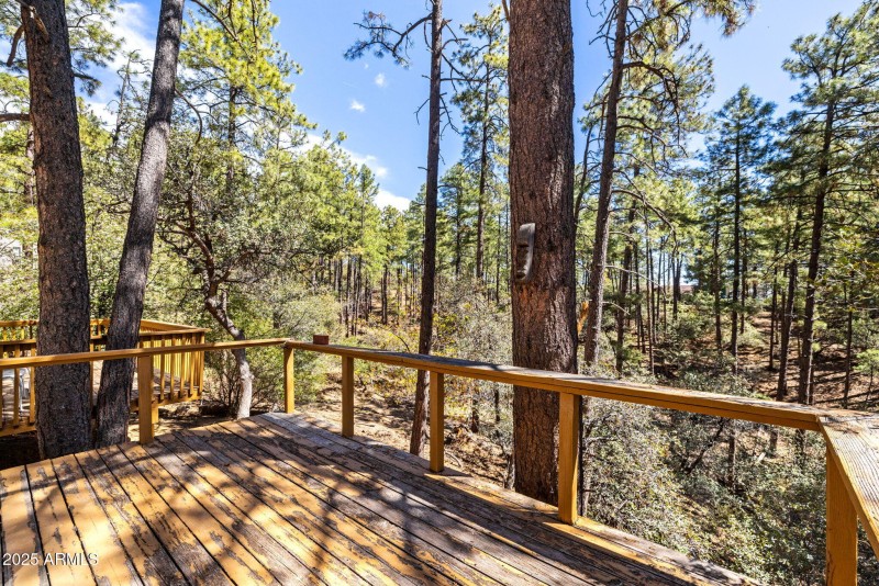 Back Deck