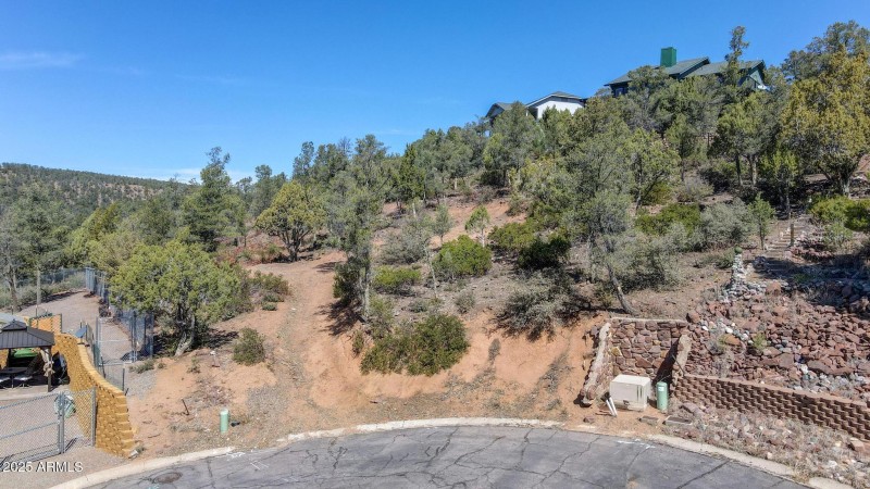 dji_fly_20250320_104518_937_174251439108