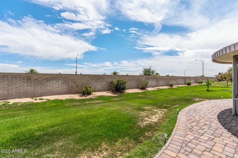 Back Yard