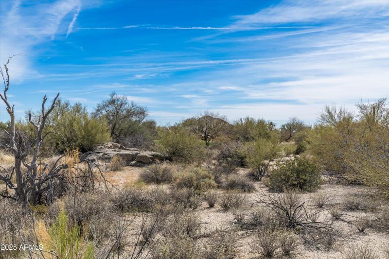 51-8167 E Leaning Rock Road #193 (27 of