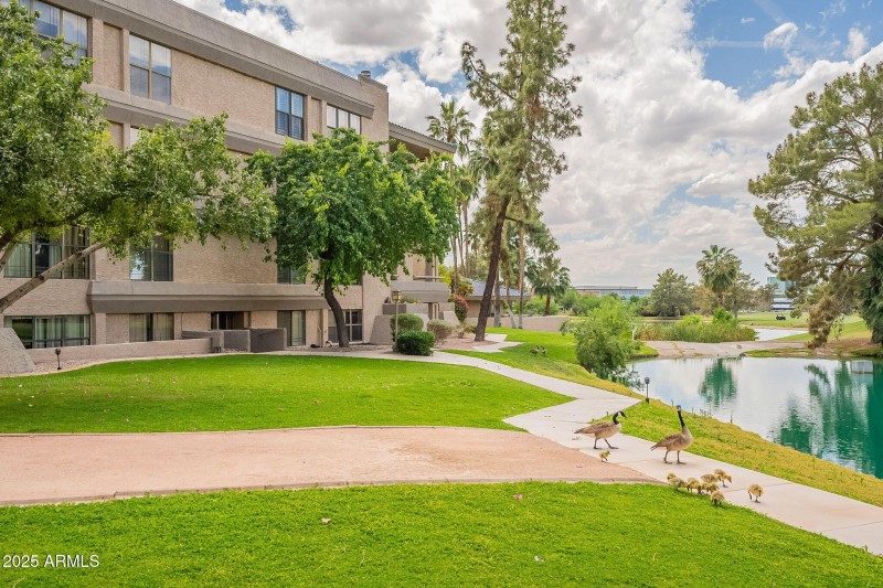 Building 5 Lake Grounds