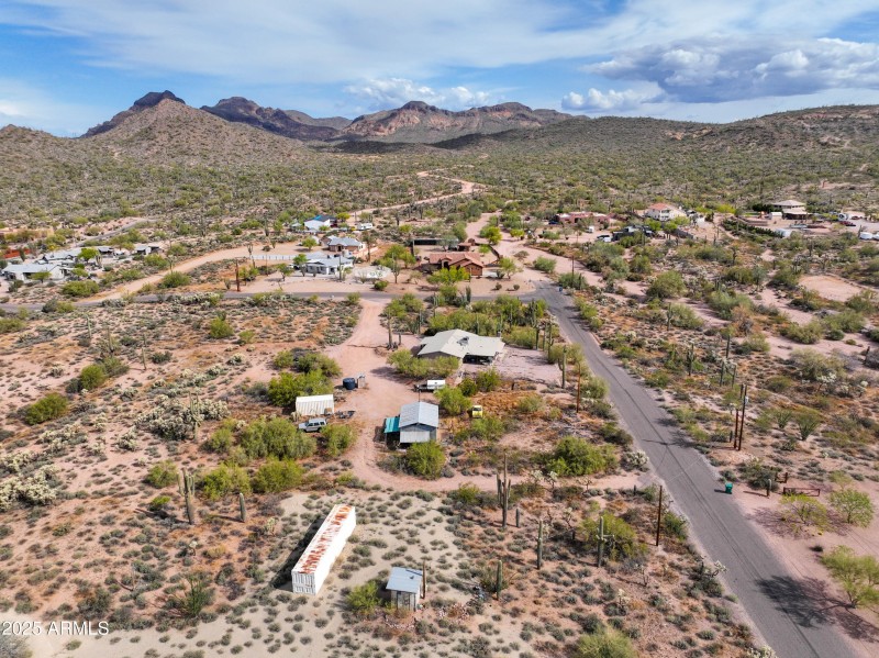 Dariya Ogden April 2025-16