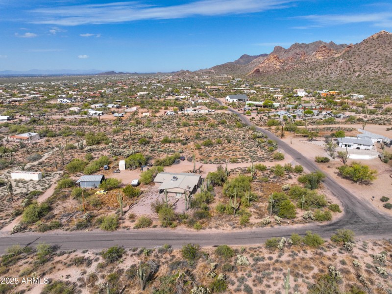 Dariya Ogden April 2025-23