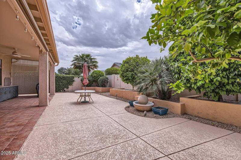 31 Backyard