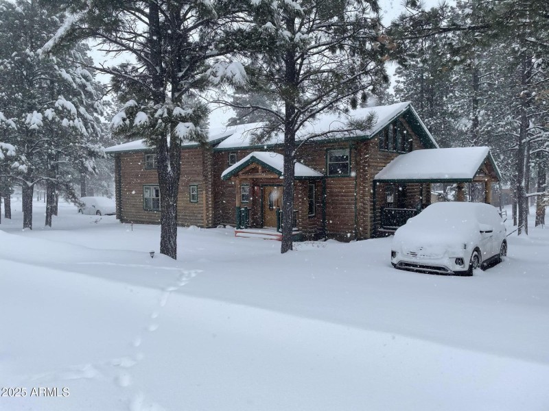 winter fun