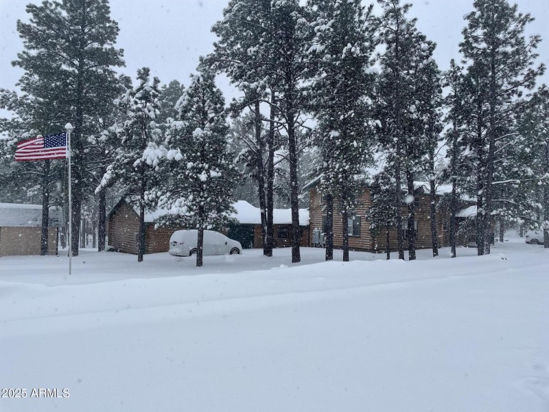 snow fun