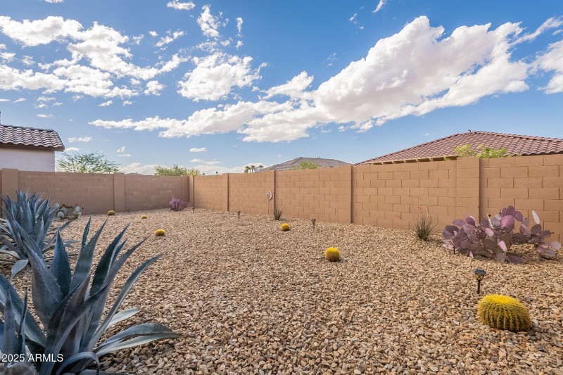 back yard