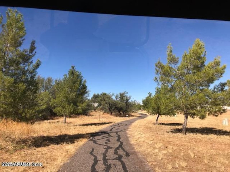 Walking Path