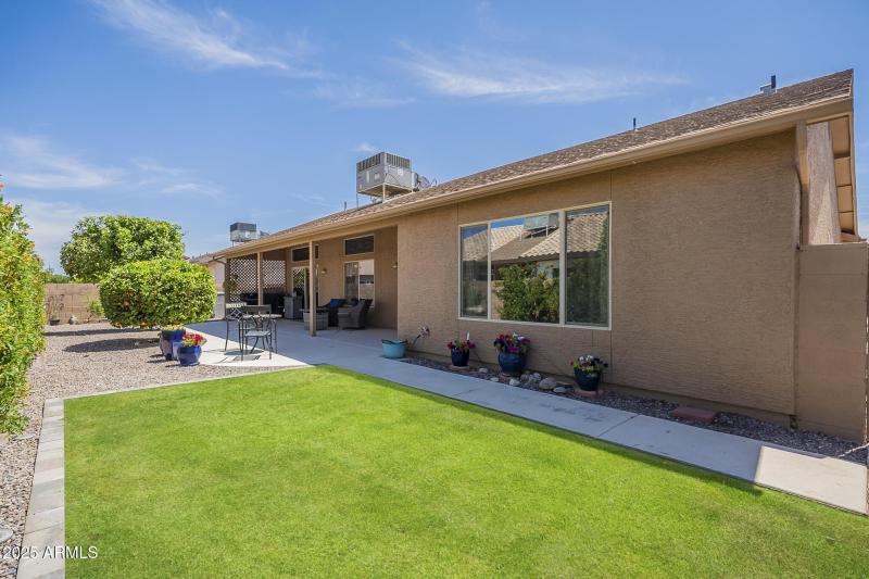 Backyard-back of home