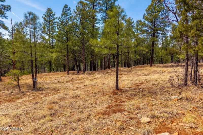 2526WellWaterRd-BlueRidgeAZ-3