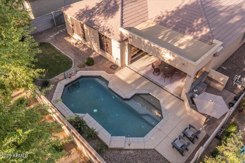 backyard 2