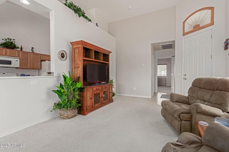 09 - Desert Willow