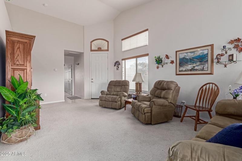 11 - Desert Willow
