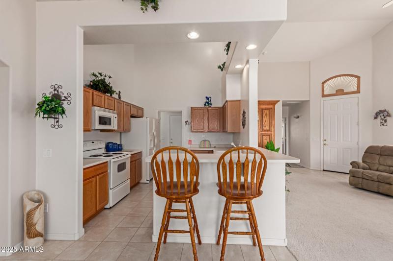 13 - Desert Willow